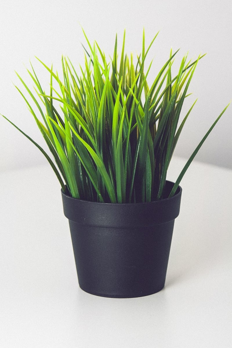 DIY Vertical Garden