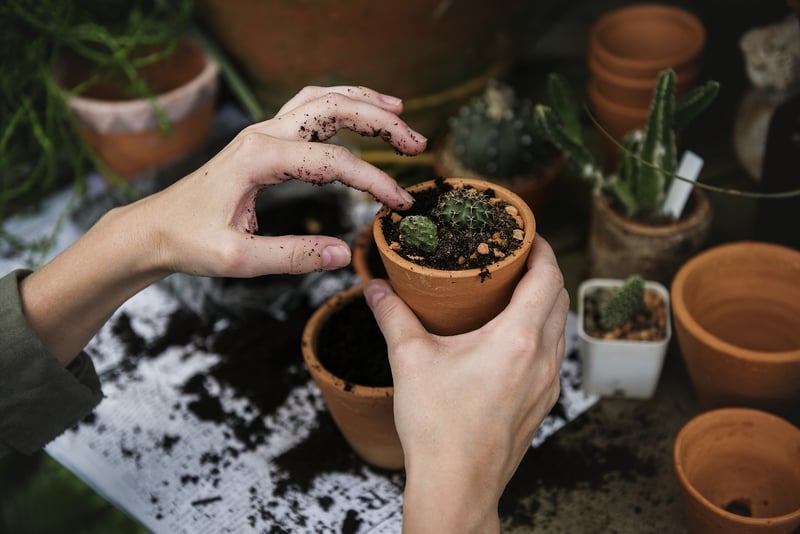 Gardeners connecting